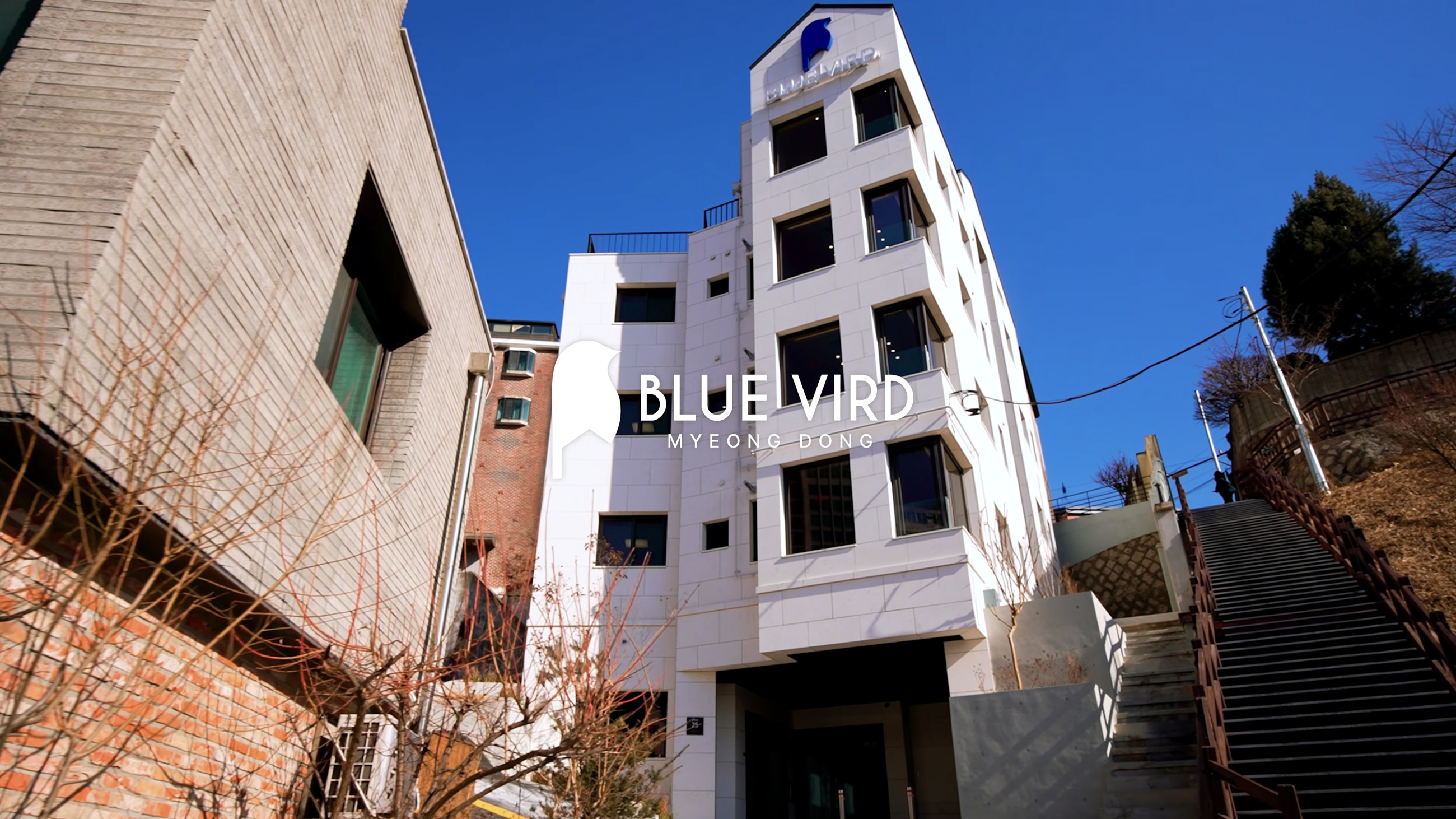 골목에서 올려다본 BLUE VIRD 명동의 밝은 석재 외관